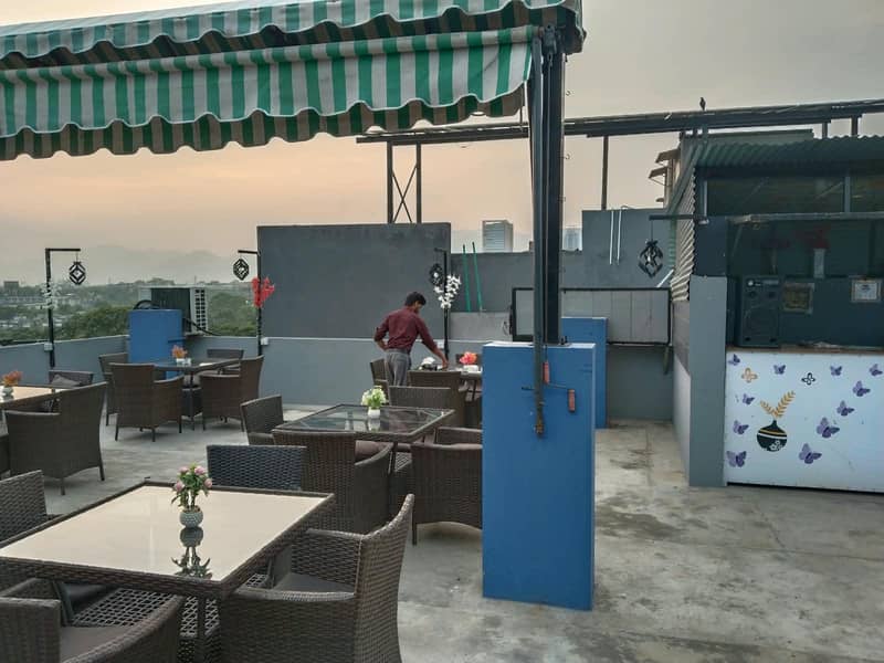 cafe butterfly 0