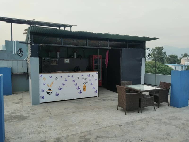 cafe butterfly 1