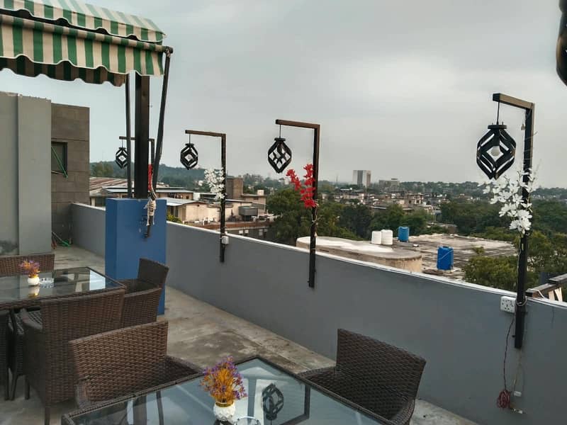cafe butterfly 5