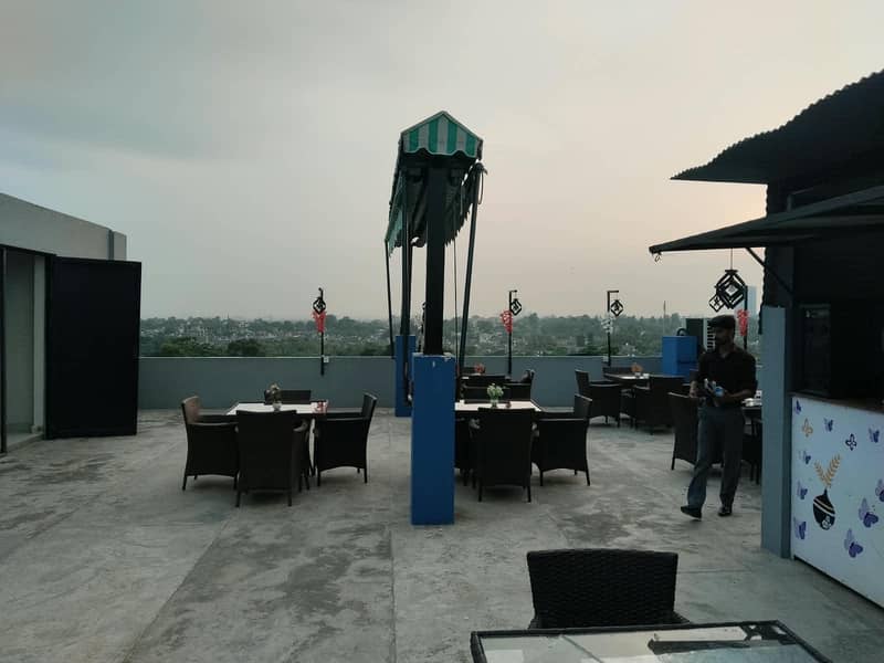 cafe butterfly 6