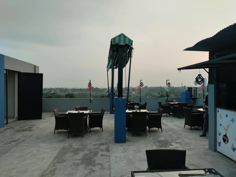cafe butterfly 7