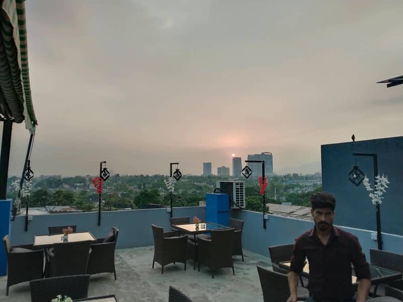 cafe butterfly 10