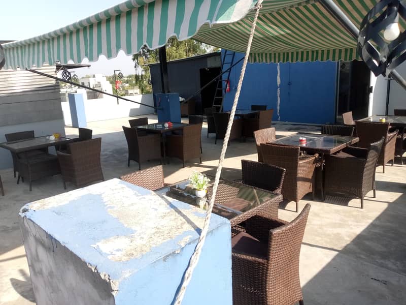 cafe butterfly 15
