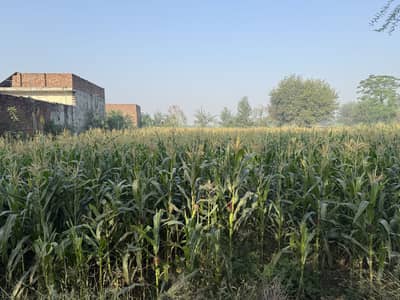 5 Kanal Land For Sale Sue-E-Asal Road, Watna Pind, Lahore