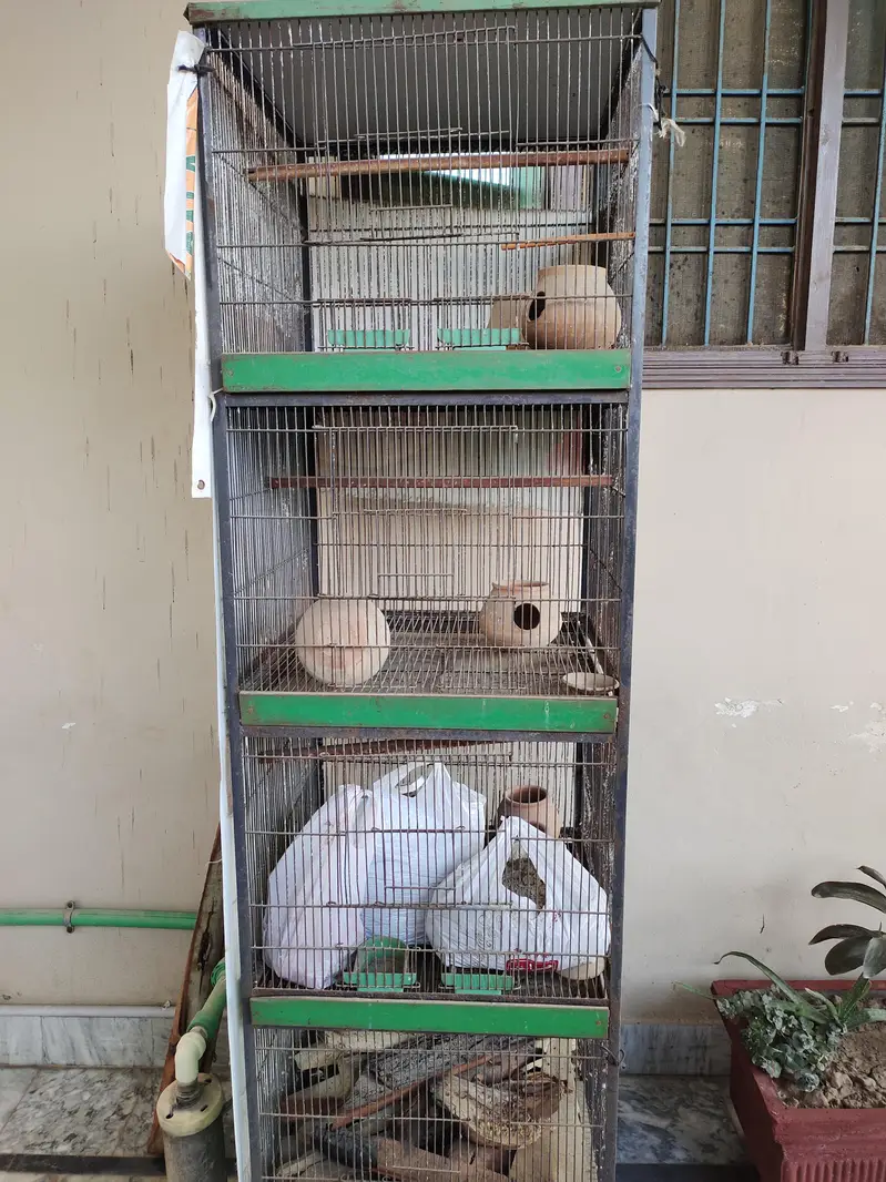 cage for sale — photo 2