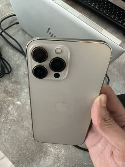Apple iPhone 13 Pro Max