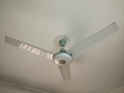 ceiling fan GFC