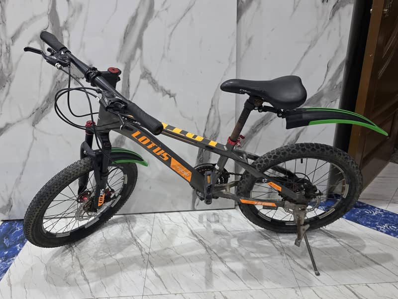 Bicycle 0