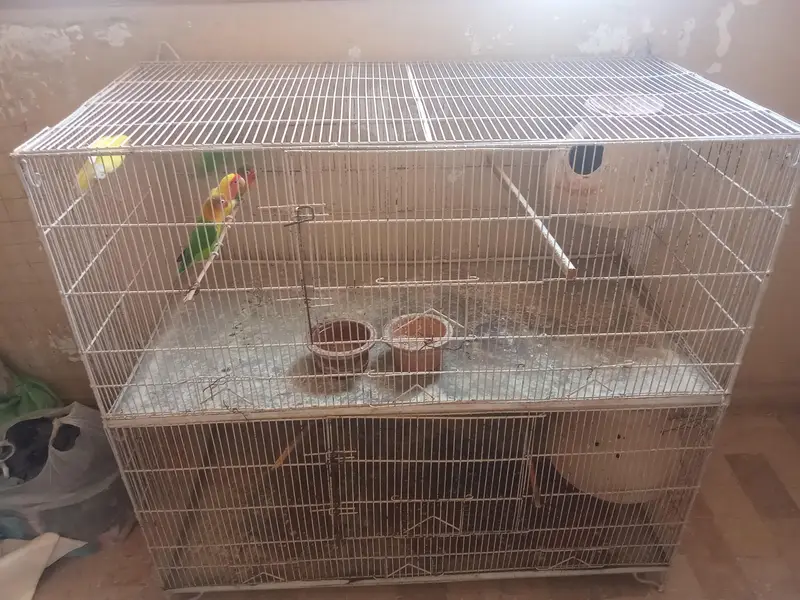 5 PARROTS DOUBLE FLOOR CAGE — photo 3