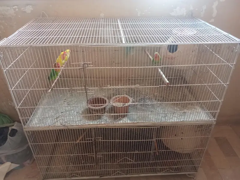 5 PARROTS DOUBLE FLOOR CAGE — photo 4