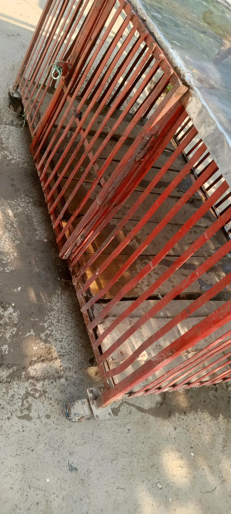 big hen cage for business — photo 3
