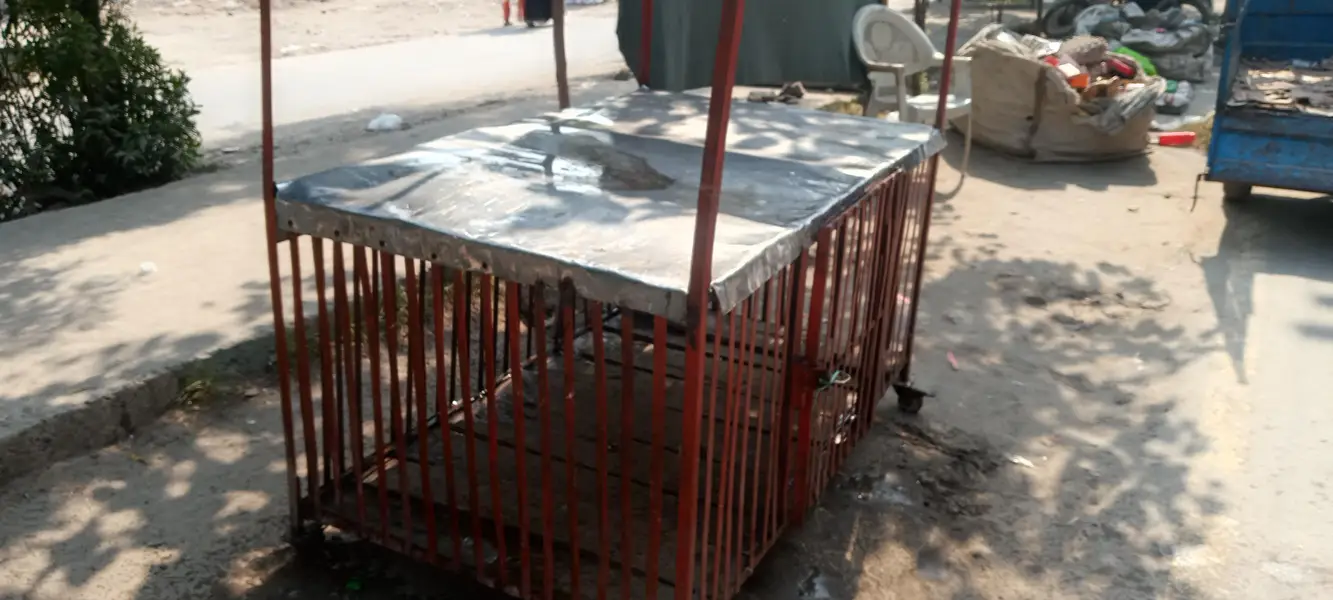 big hen cage for business — photo 4
