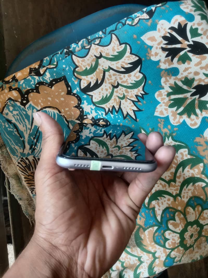 Apple iPhone 11 3