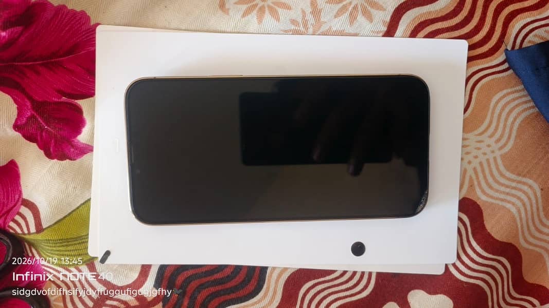 Apple iPhone 13 Pro Max 1