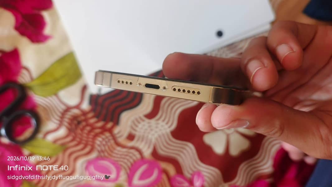 Apple iPhone 13 Pro Max 3