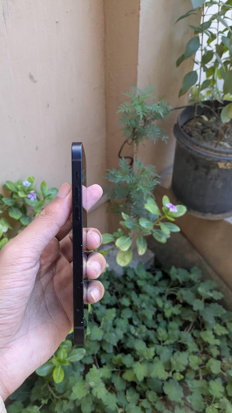 Apple iPhone 12 1