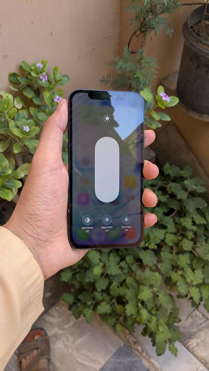 Apple iPhone 12 4
