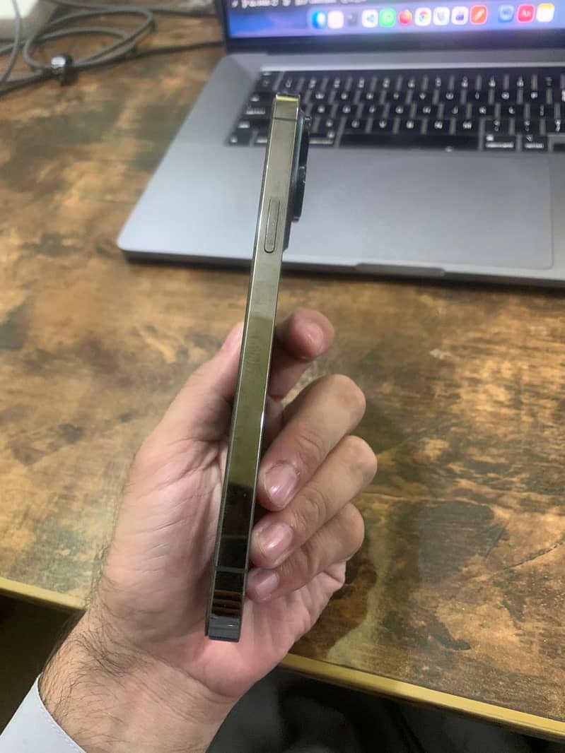 Apple iPhone 13 Pro Max 1