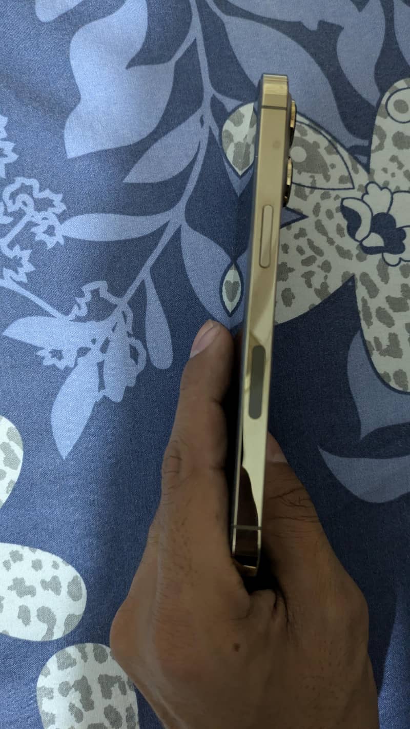 Apple iPhone 13 Pro 1