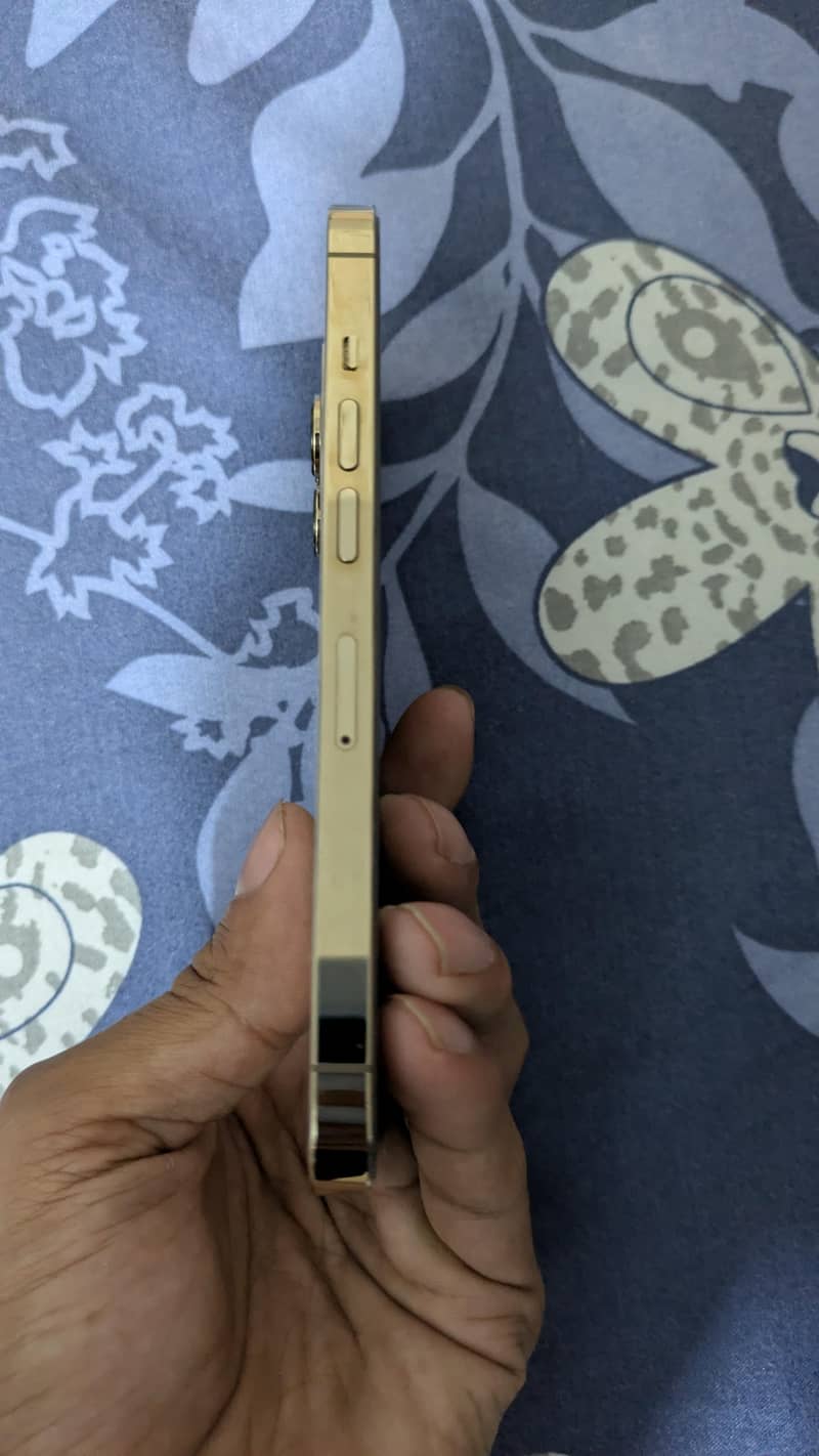 Apple iPhone 13 Pro 2