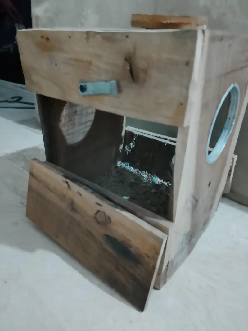 nesting boxes. cocatail — photo 4