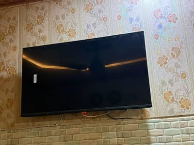 43inch High life