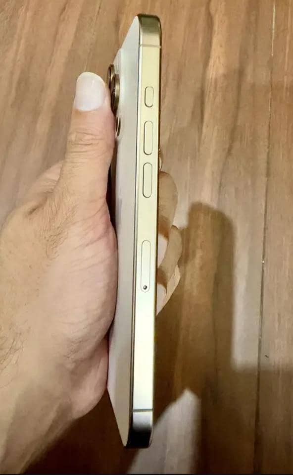 Apple iPhone 16 Pro Max 3