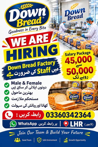 need urgent staff down bread packing work factory jobs available