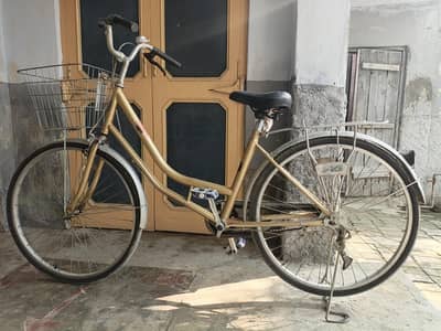 Japanese Cycle 2025 Model