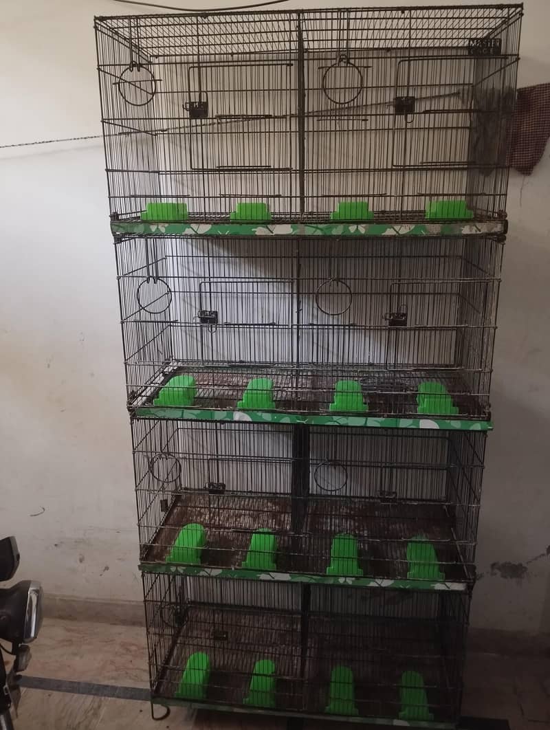 master cage 1.5 2 0
