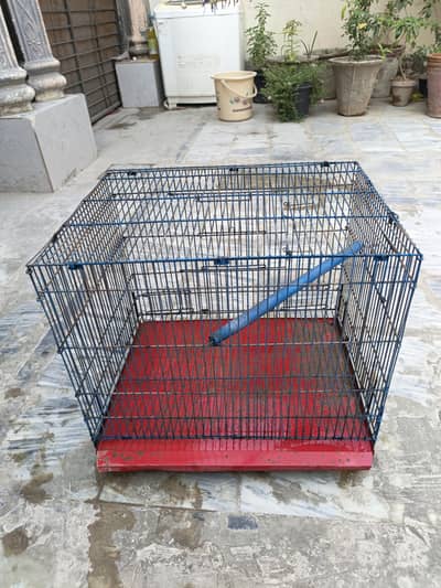 Birds Cage