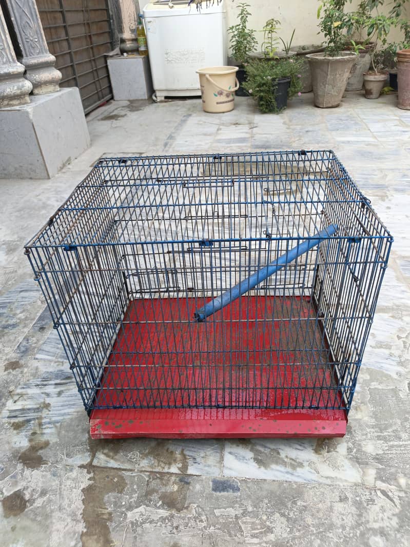 Birds Cage 0