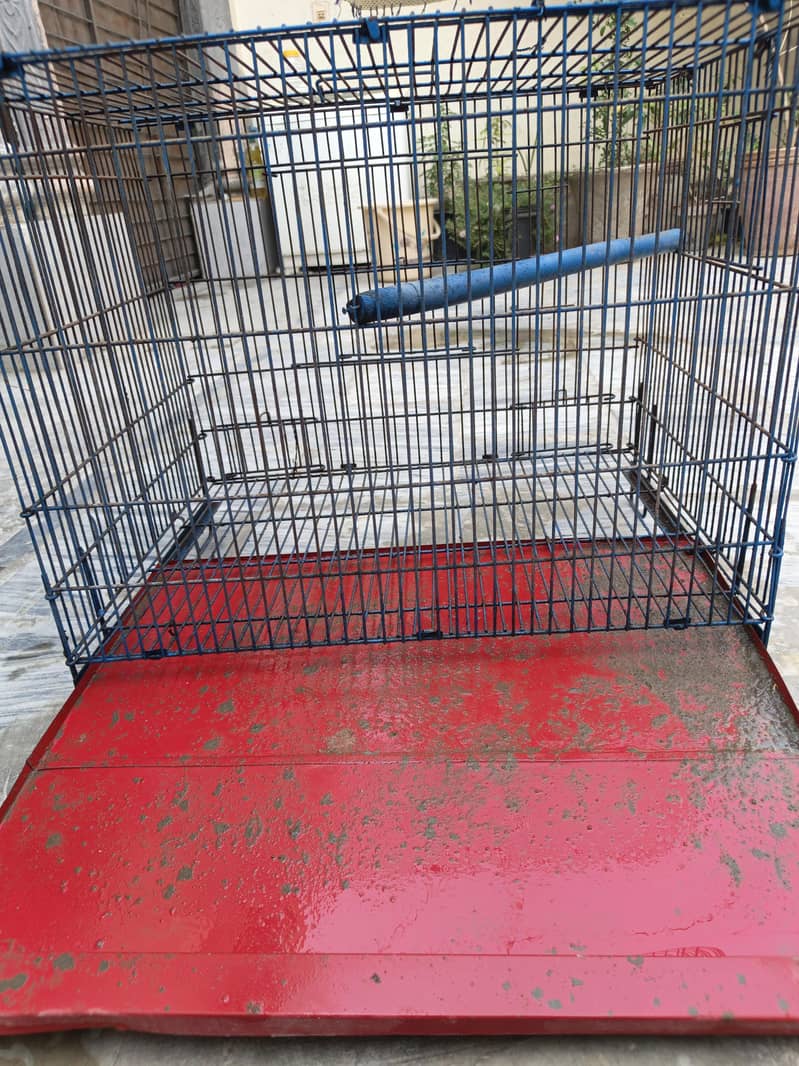 Birds Cage 1