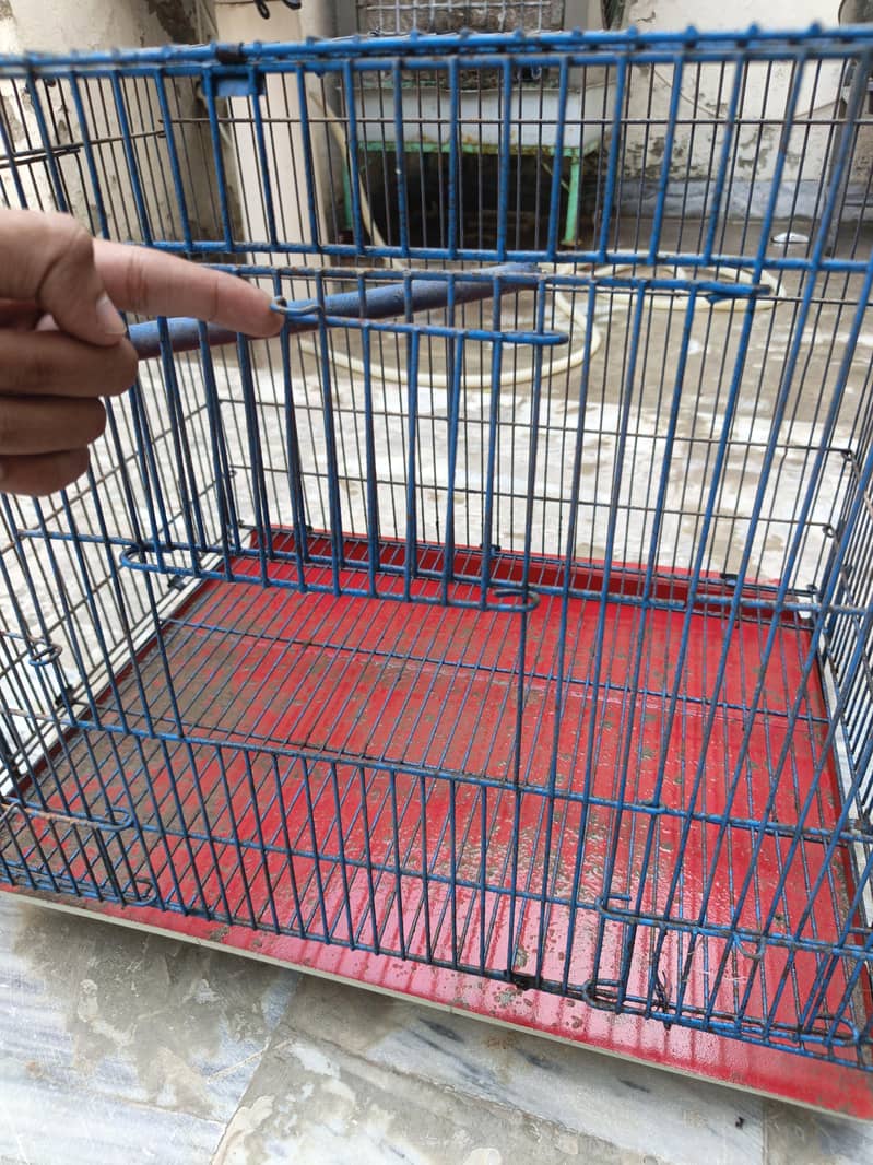 Birds Cage 2