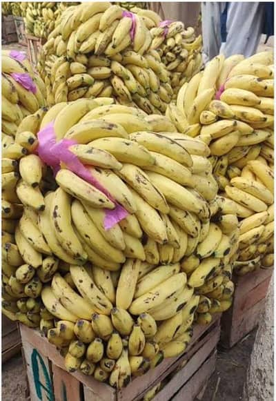 banana available for sale.