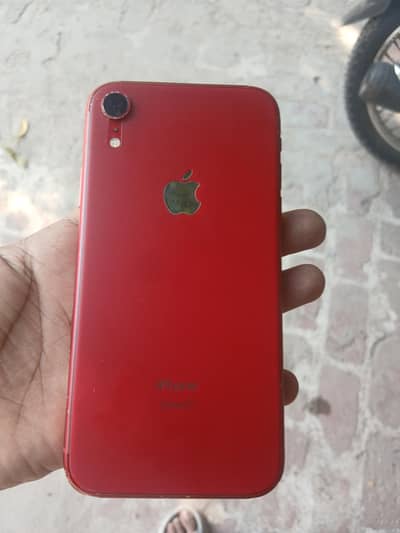 Apple iPhone XR.  (03076387821