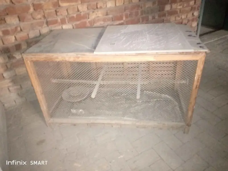 pure DIYAL wood cage — photo 3