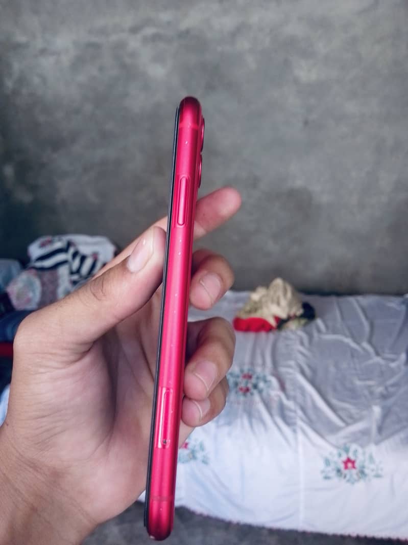 Apple iPhone 11 0