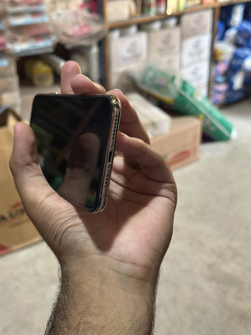 Apple iPhone XS Max 2