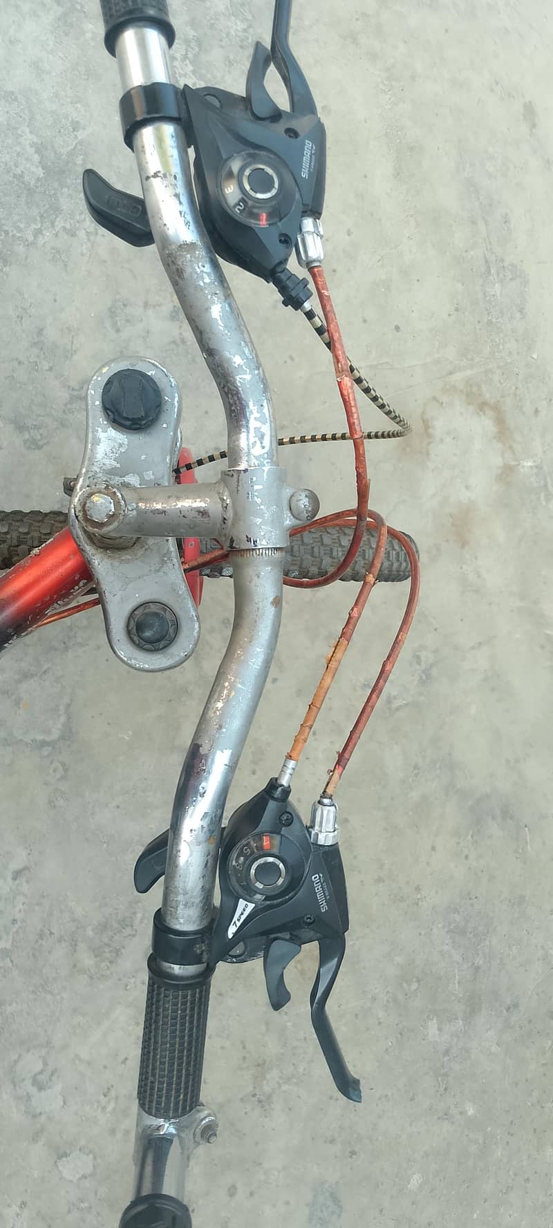 MOUNTAIN CYCLE 2
