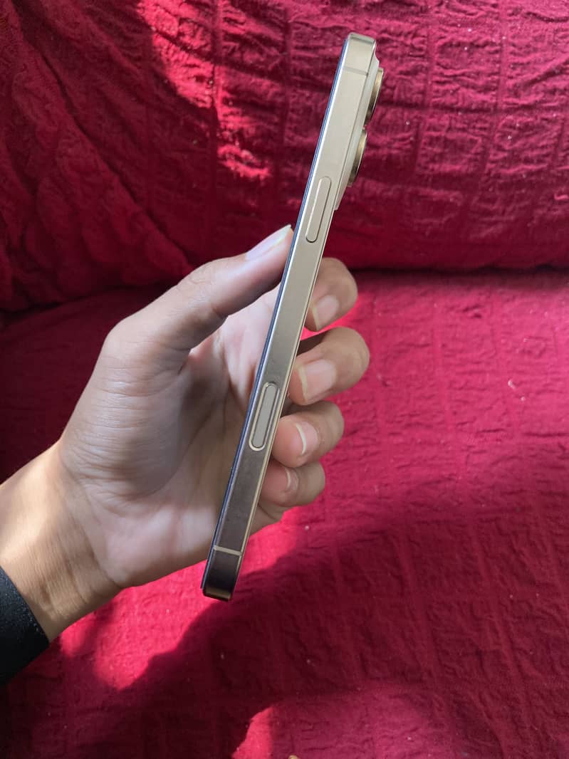 Apple iPhone 16 Pro Max JV 5