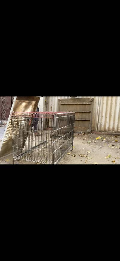 cage for dogs parrots