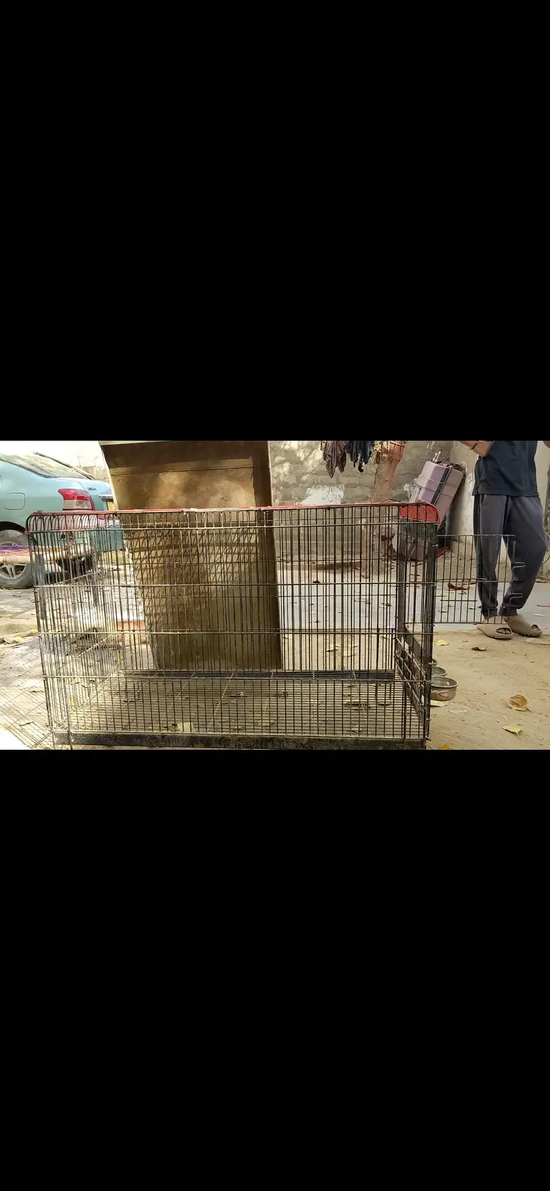 cage for dogs parrots — photo 2