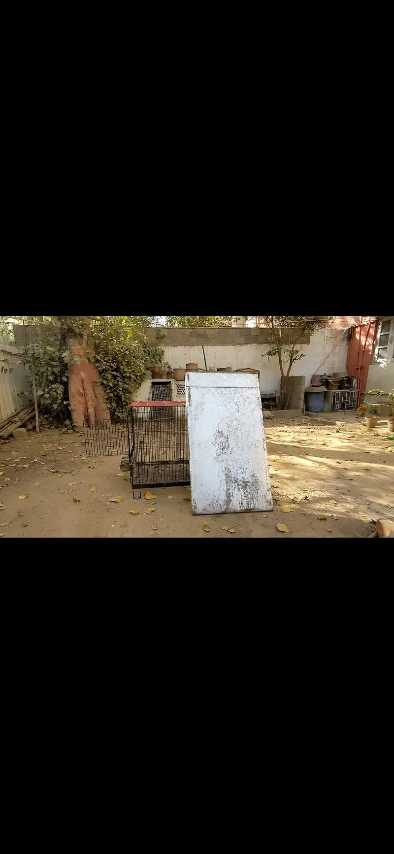 cage for dogs parrots — photo 5