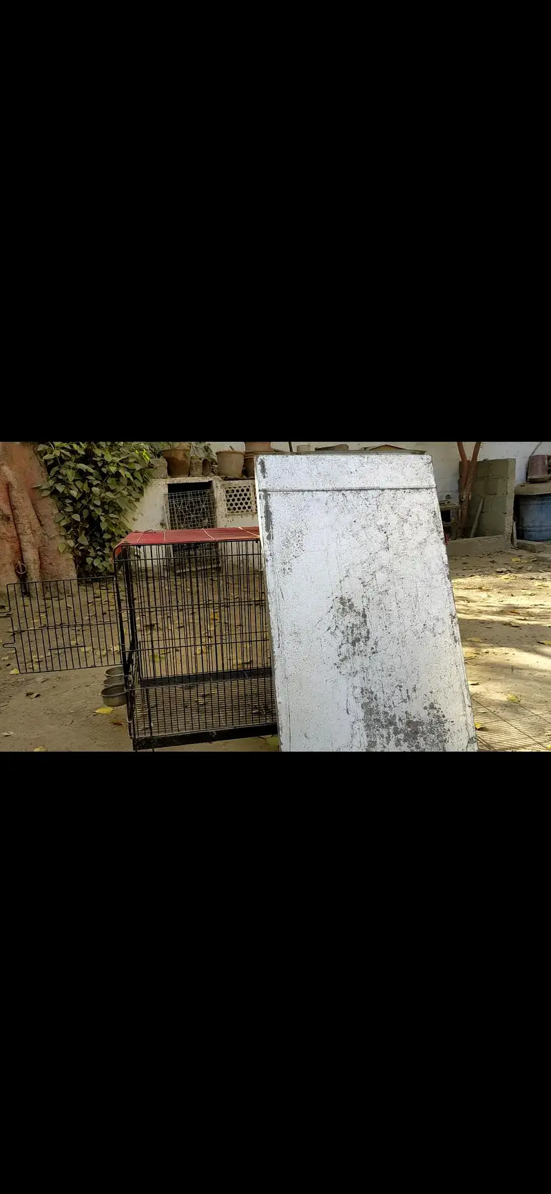 cage for dogs parrots — photo 6