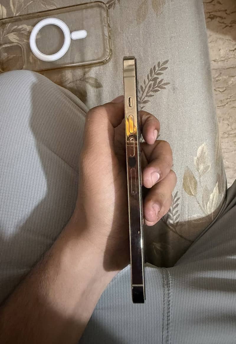 Apple iPhone 13 Pro Max 4