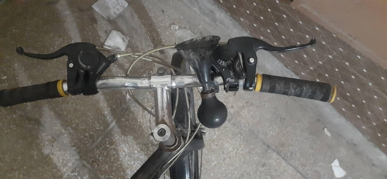 Phoenix cycle 4