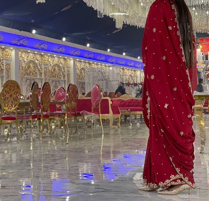 Saree 2