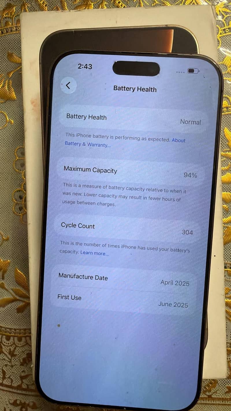 Apple iPhone 16 Pro Max 13