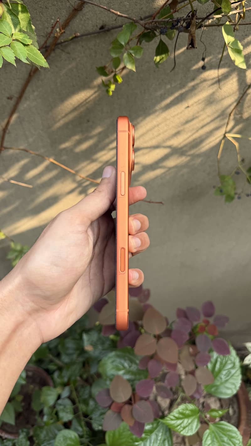 Apple iPhone 17 Pro Max 1